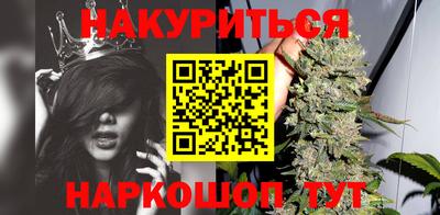 гидра Будённовск