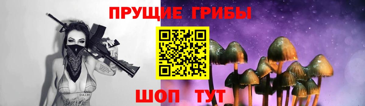 Сертолово  Галлюциногенные грибы Magic Shrooms  Галлюциногенные грибы ЛСД  Вход с VPN 