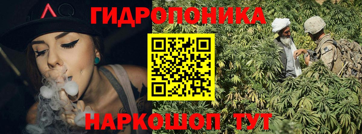 Бошки Шишки гибрид  Вход с VPN  Бошки Шишки AK-47  Сертолово 